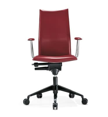 Ergonomic Chairs on Office Chair  Elegant Office Chair  Armchairs With Tall Backrest