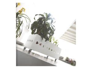 Picture of Iris, complement