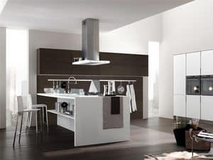 Picture of Life 4, linear kitchens