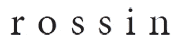 Rossin Srl Logo Rossin Srl