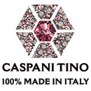 Caspani Tino Group Logo Caspani Tino Group