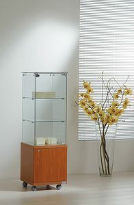 Laminato Light 4/14M, Display cabinet, with wooden lower cabinet