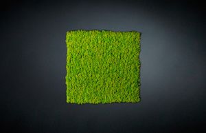 Lichene, Modular panel for green wall