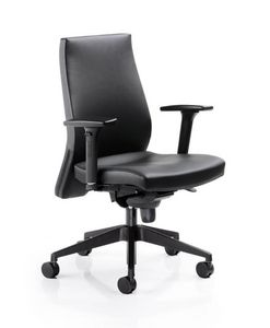 Caress 6601, Office chair with adjustable armrests