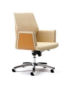 Tua executive, Executive chairs suited for modern office, leather covering