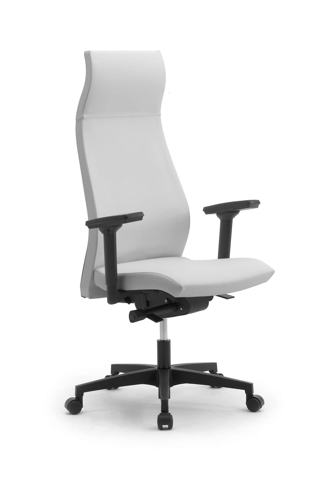 Energy 80012N, Office chair with tall backrest and headrest