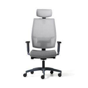 Lead mesh, Ergonomic office chair with mesh backrest