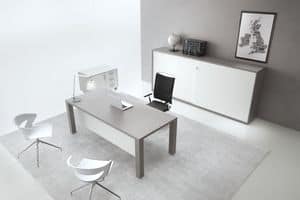 Odeon type C, Modern furniture for executive offices