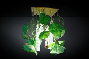 Flower Power Lotus Dichondra, Floral chandelier with Murano glass rods