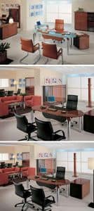 Nuvola Office, Office modular system Directional office