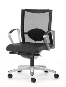 AVIANET 3604, Chair with 5-spoke, with lumbar support, for office