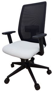 Delfi, Office chair with mesh backrest