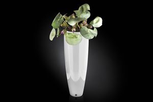 Tokio composition, Decorative vase