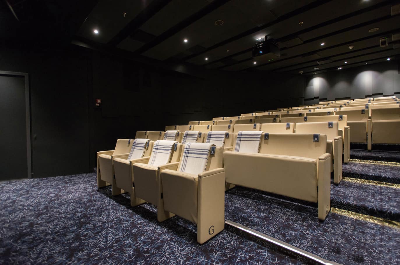 Movie theatre - Viking Star